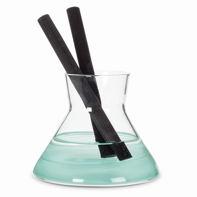 Clear glass vase with black diffuser reeds on a white background