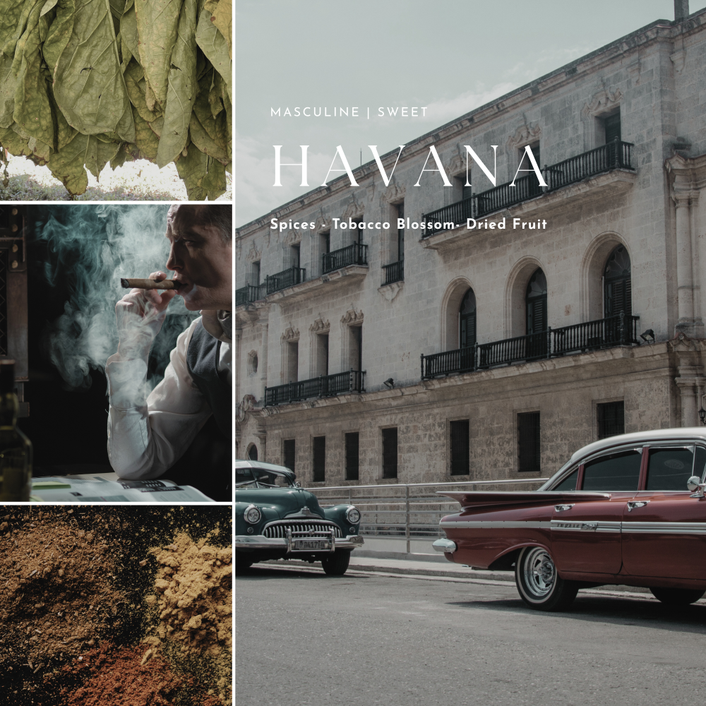 Collage of images related to Havana, including tobacco leaves, a vintage car, and an old building.