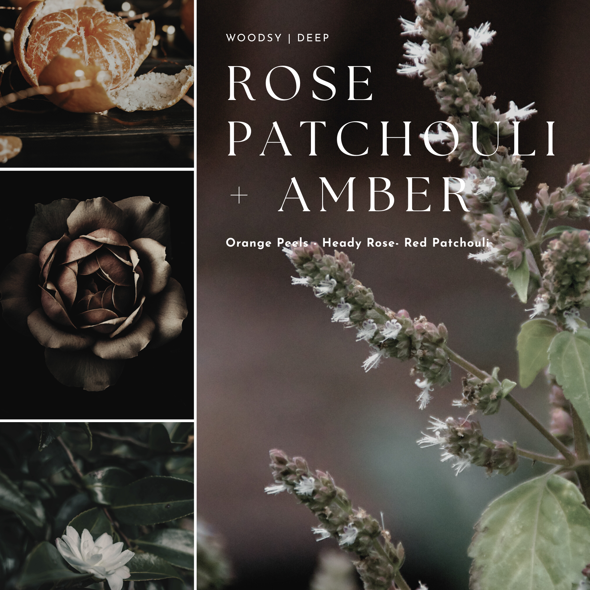 Collage of floral elements with text 'Rose Patchouli + Amber' on a dark background.