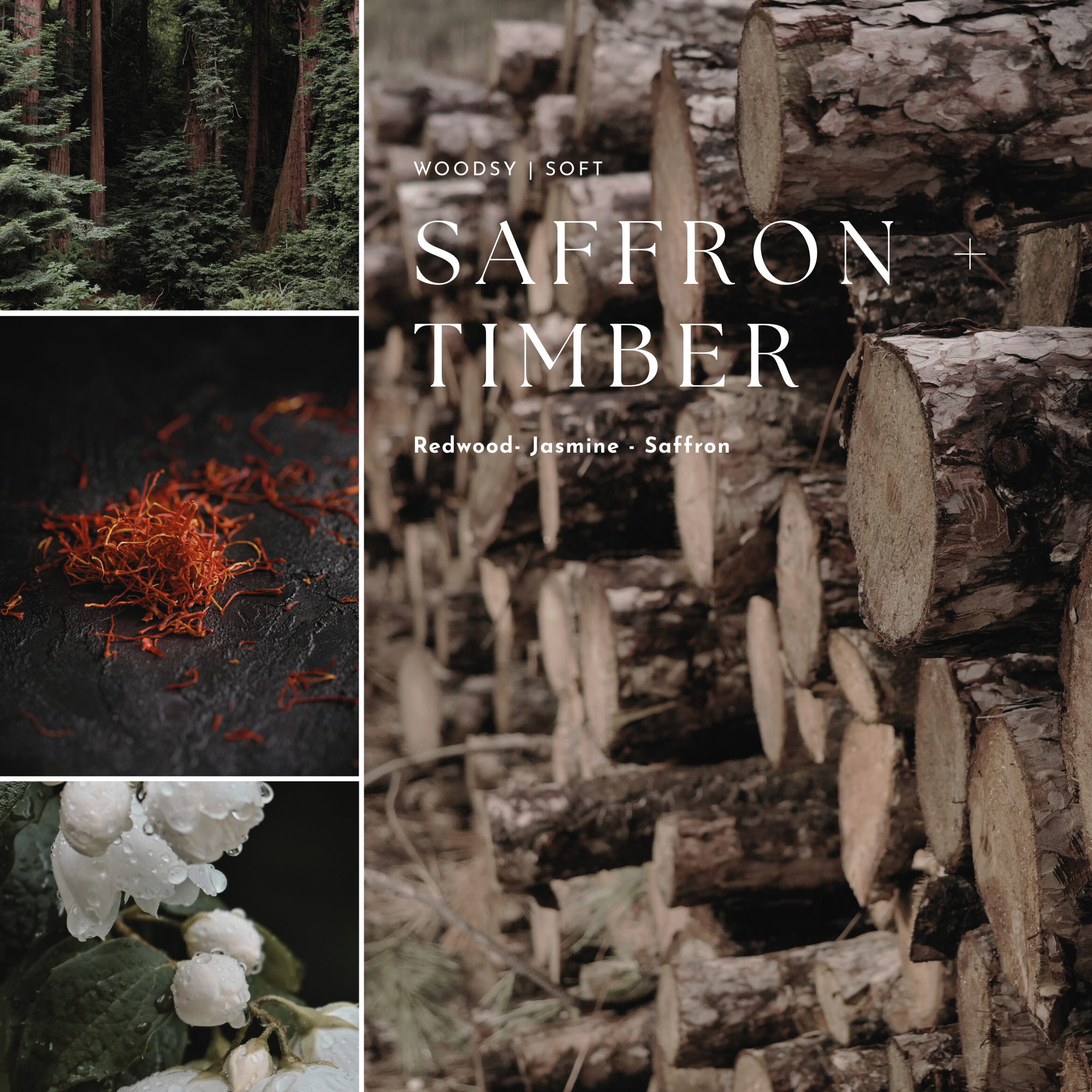 Collage of saffron, logs, and forest elements with 'Saffron Timber' branding.