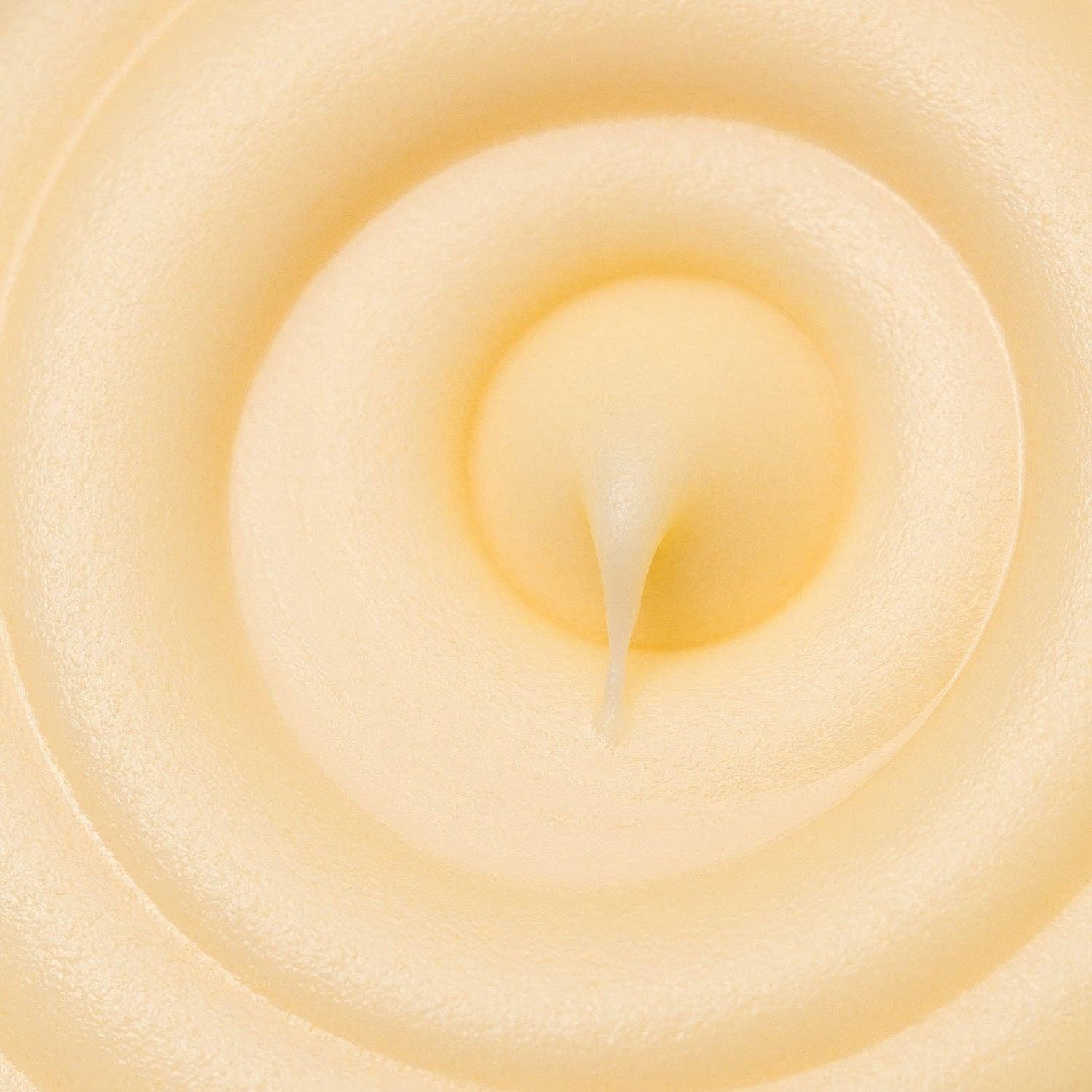 Close-up of a yellow flower with concentric petal layers.