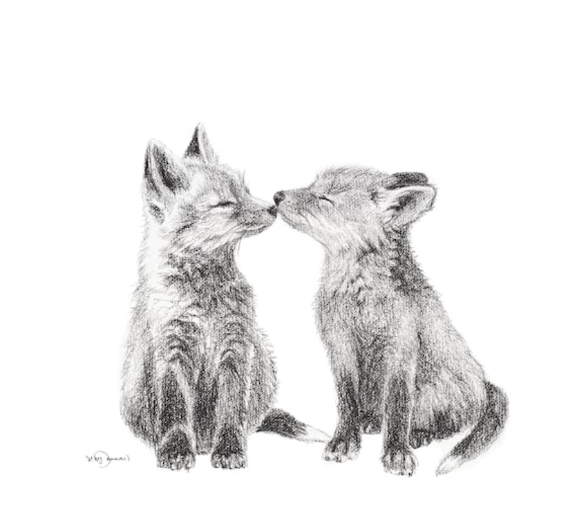 Pencil drawing of two foxes kissing on a white background