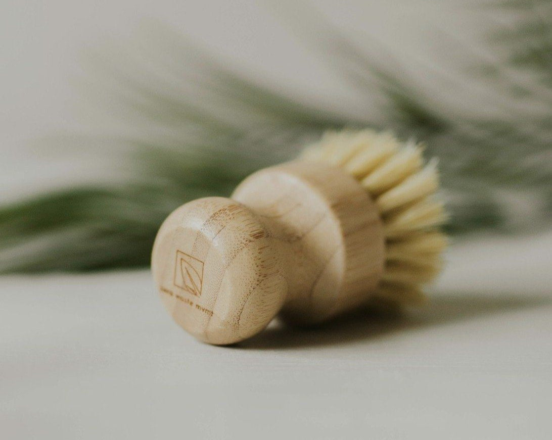 Wooden dish brush with bristles on a light background