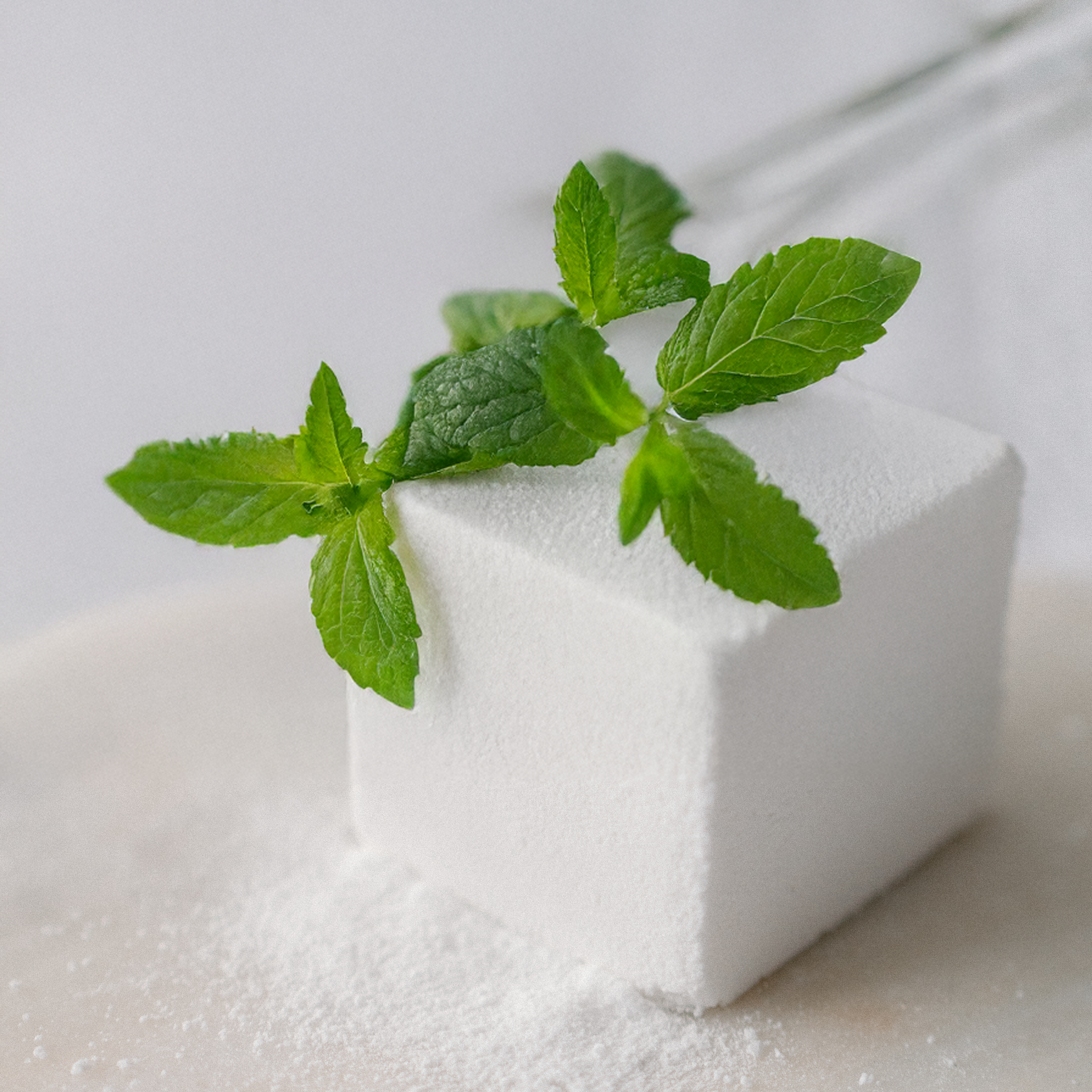 Block of white soap with green leaves on a light background