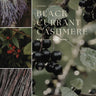 Collage of black currants with text 'Black Currant + Cashmere' and 'Intense Fruity' on a green background.