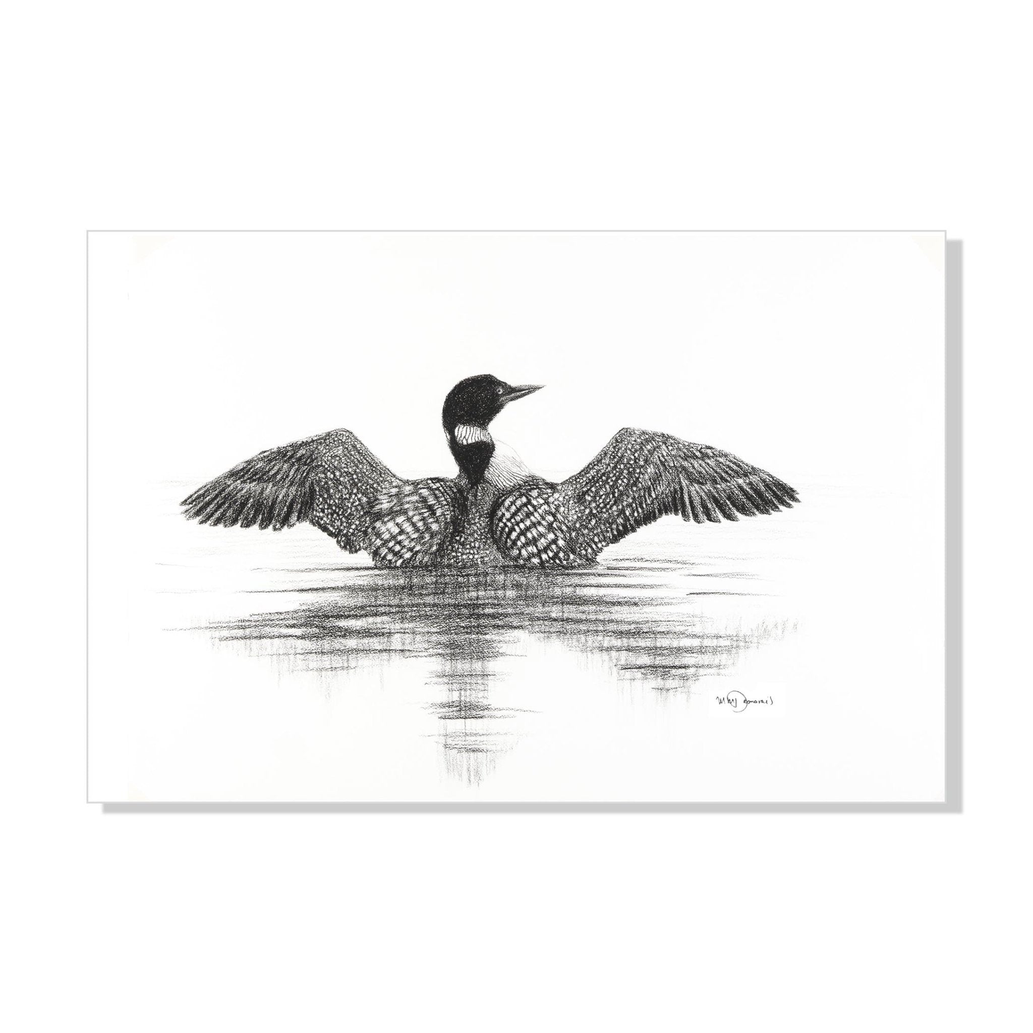 Black and white illustration of a loon on water