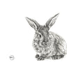 Detailed black and white pencil drawing of a rabbit on a white background
