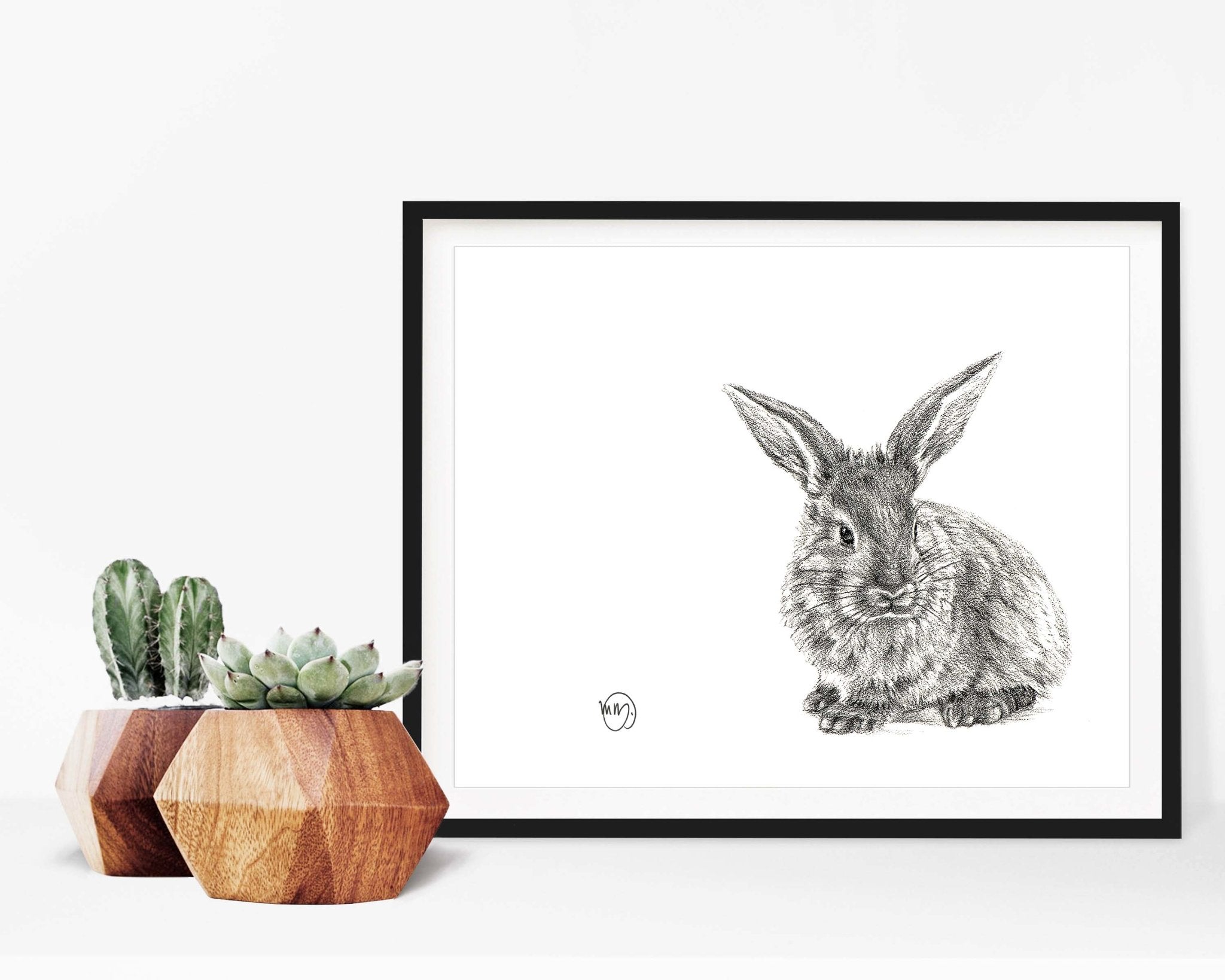 Framed black and white rabbit illustration on a white wall with wooden planters and succulents below.