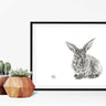 Framed black and white rabbit illustration on a white wall with wooden planters and succulents below.
