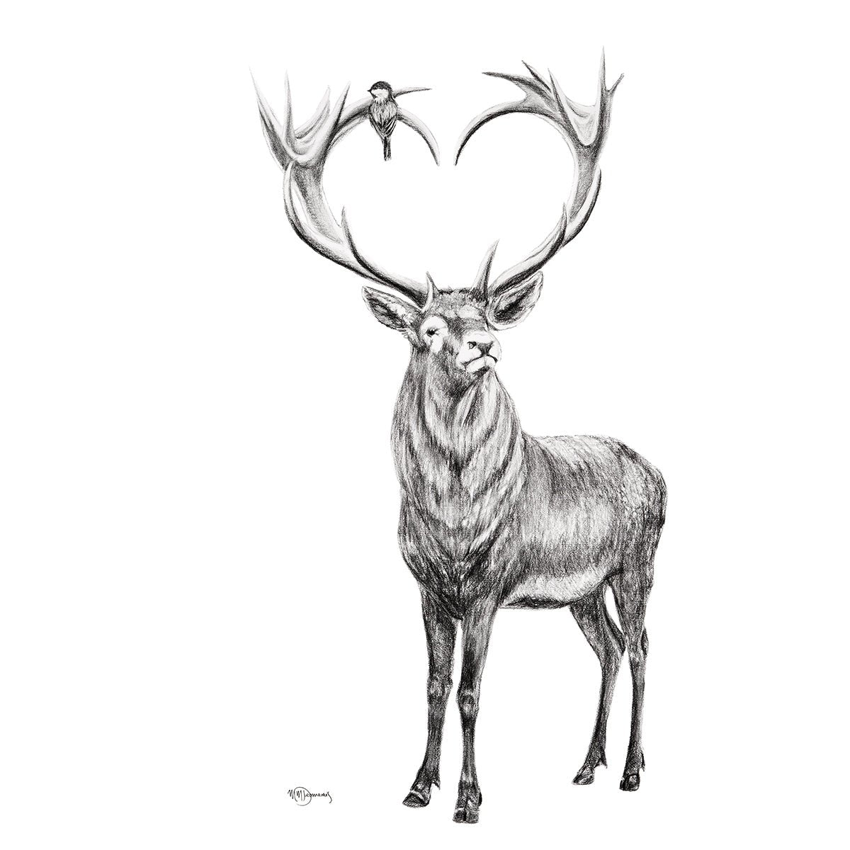 Detailed black and white illustration of a deer with large antlers on a white background
