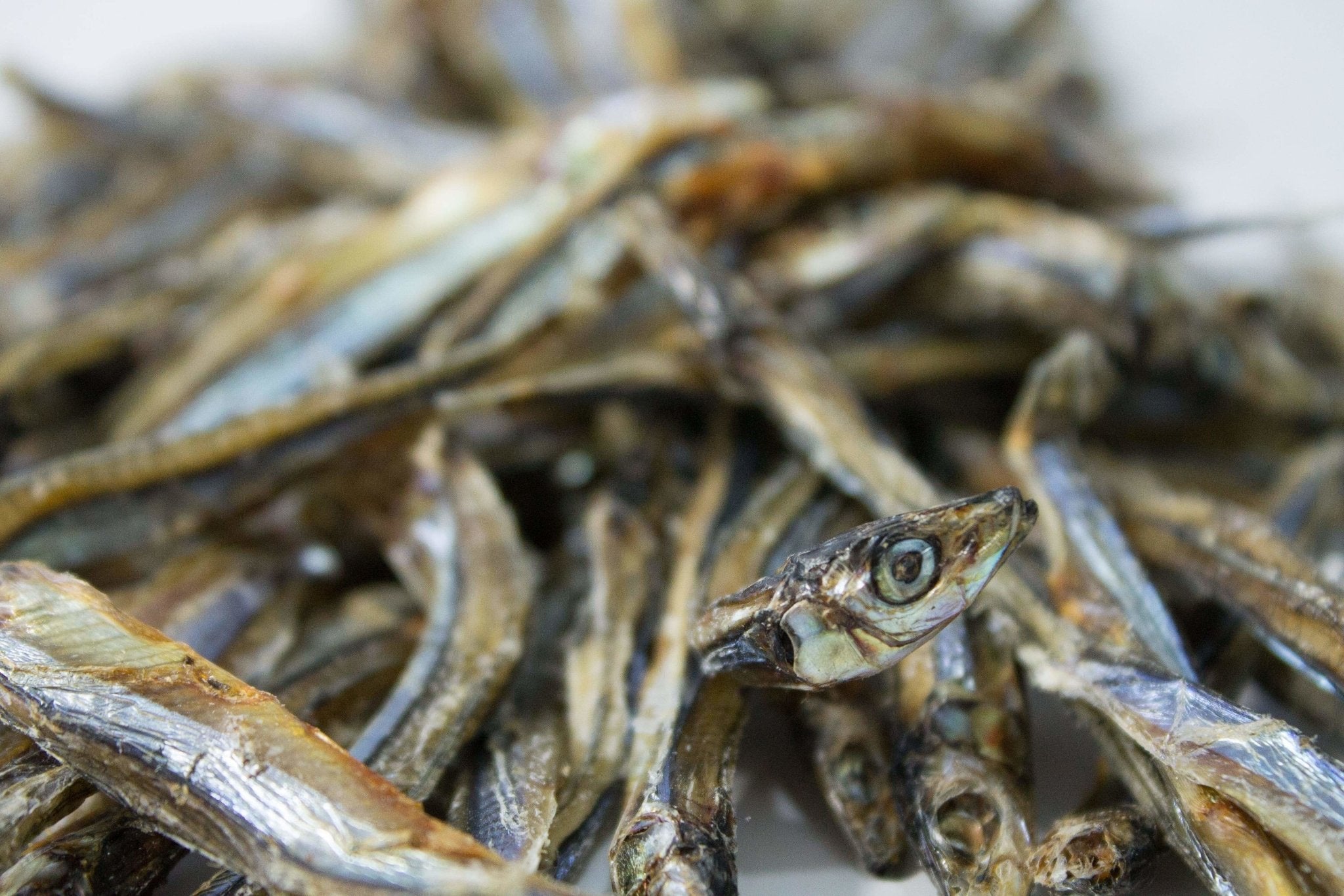 Close-up of dried anchovies on a white background