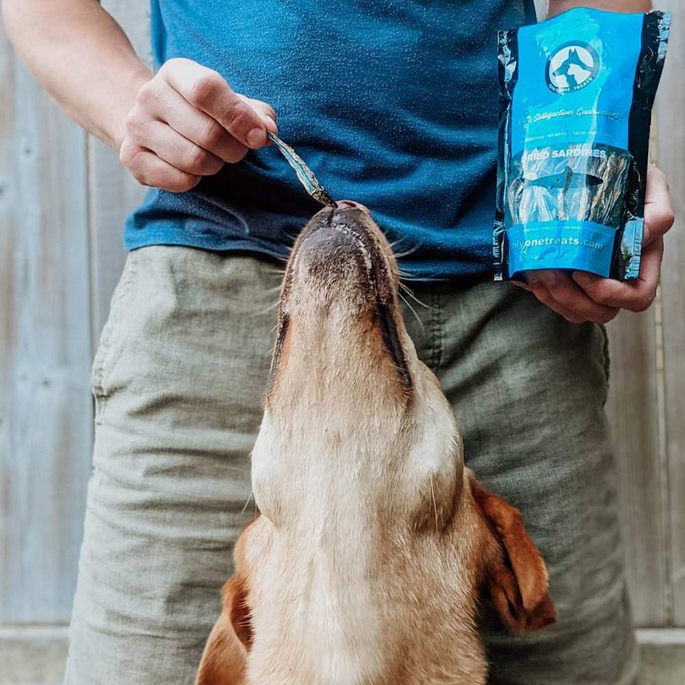 Person feeding a dog from a blue packet labeled 'Pawprint Co.'