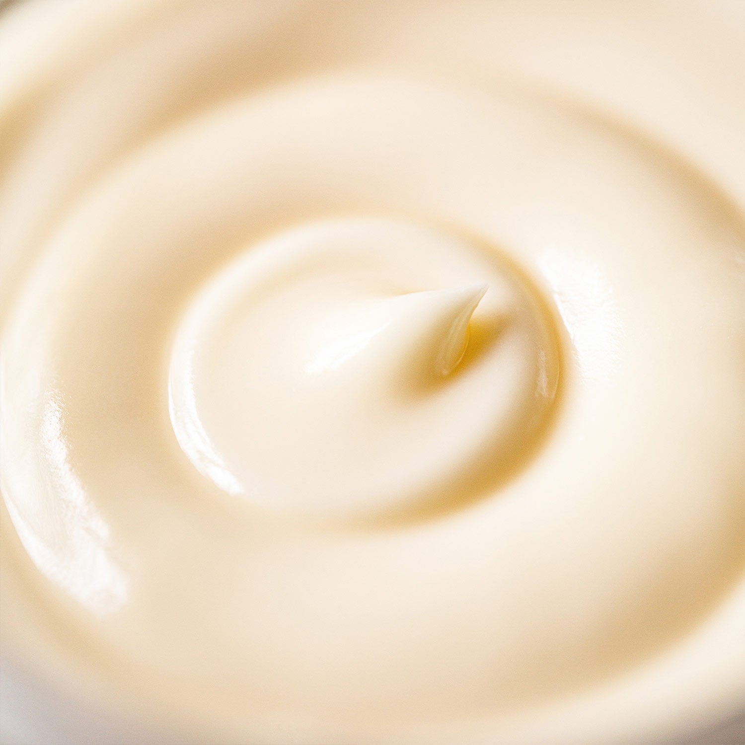 Sample of luxurious Illuminate body cream fragranced with Frankincence and geranium