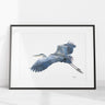 Framed artwork of a heron in flight on a white background