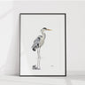 Framed artwork of a heron on a white background
