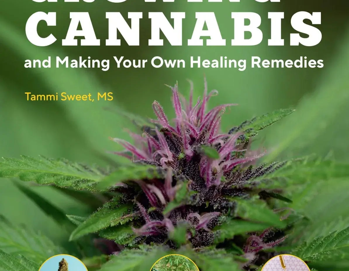 Hachette book Beginner's Guide to Growing Cannabis and Making Your Own Healing Remedies