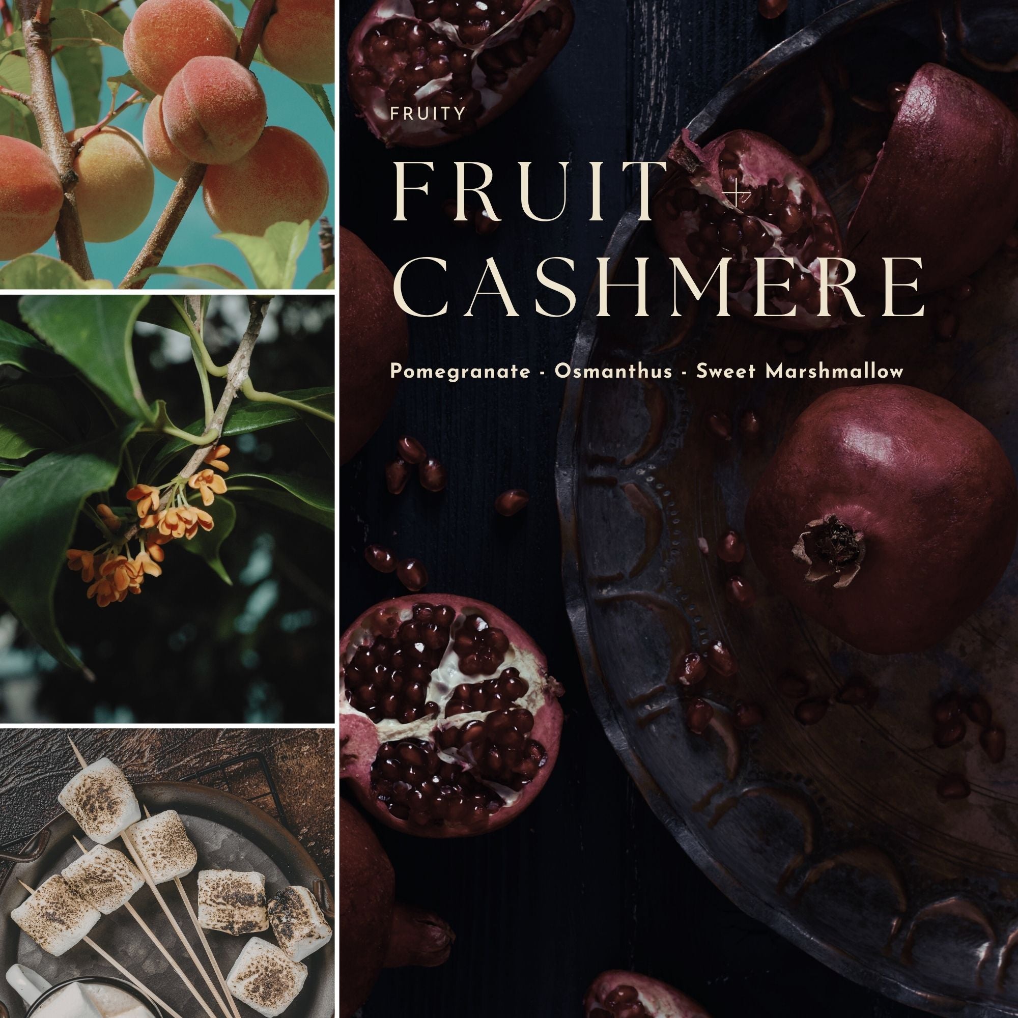 Collage of fruit images with 'Fruity Cashmere' text and pomegranate, osmanthus, and marshmallow elements.
