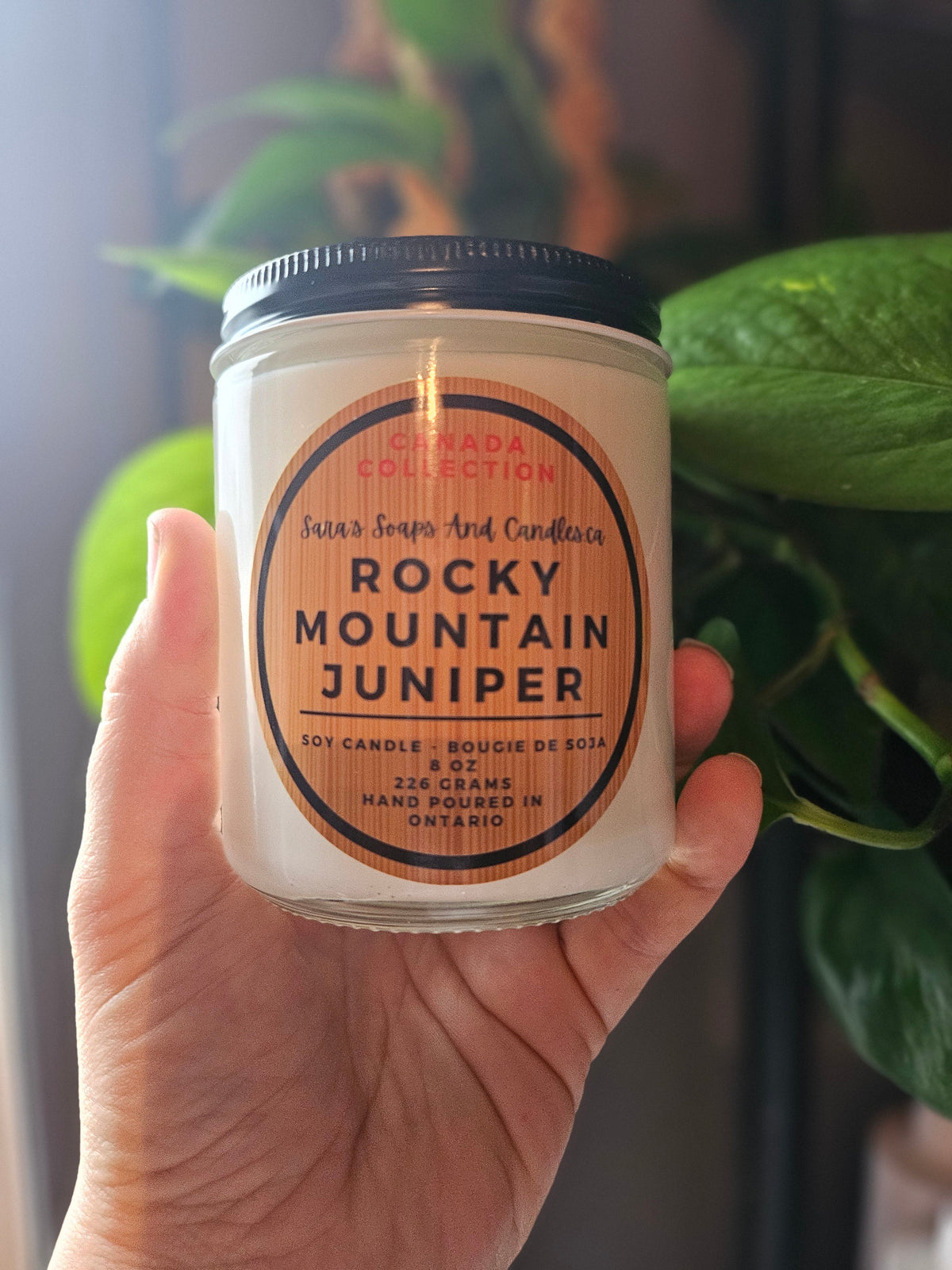 Hand holding a candle labeled 'Rocky Mountain Juniper' with a plant in the background