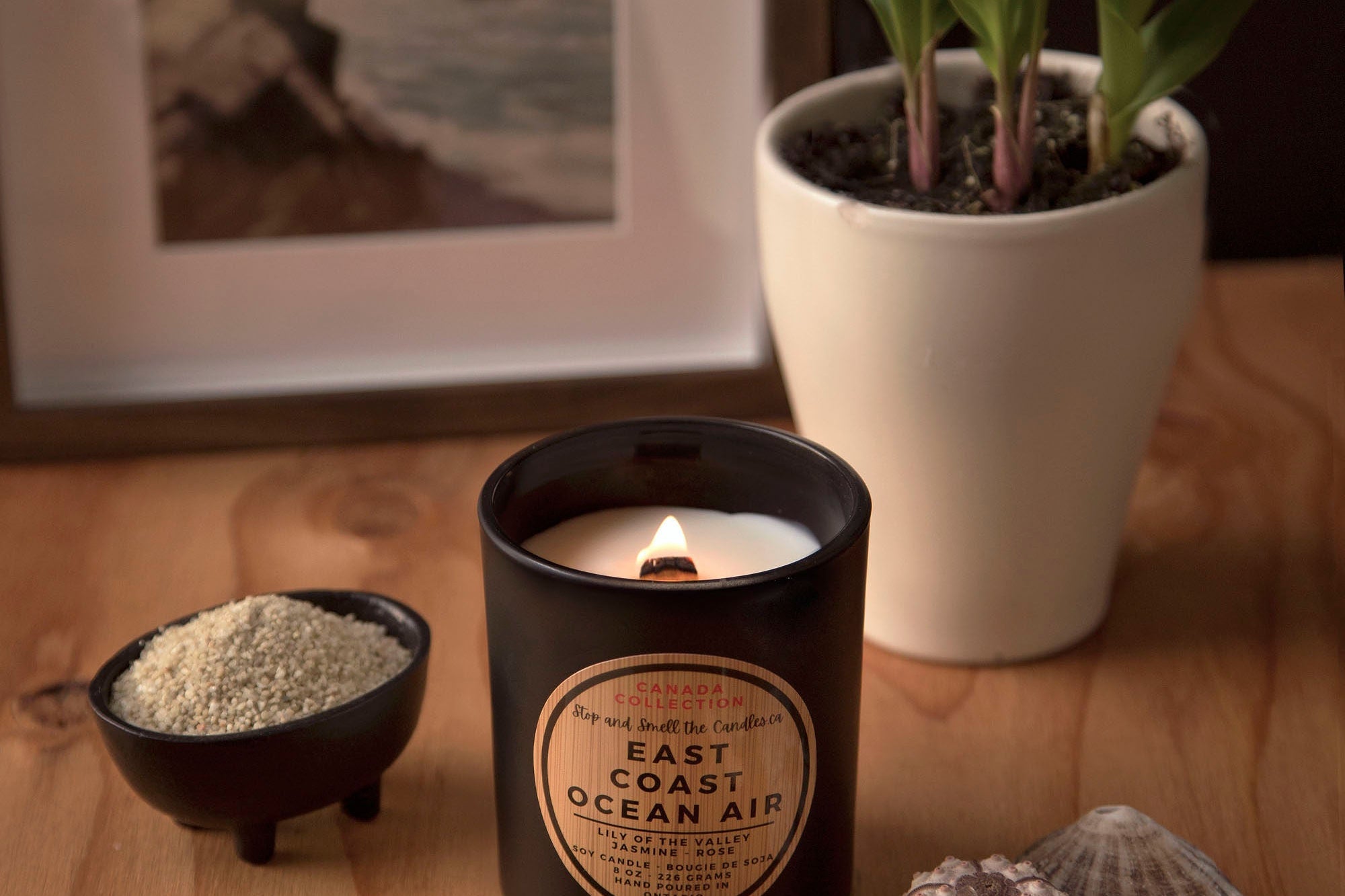 Candle labeled 'Ocean Air' on a wooden surface with a plant, shells, and a starfish.