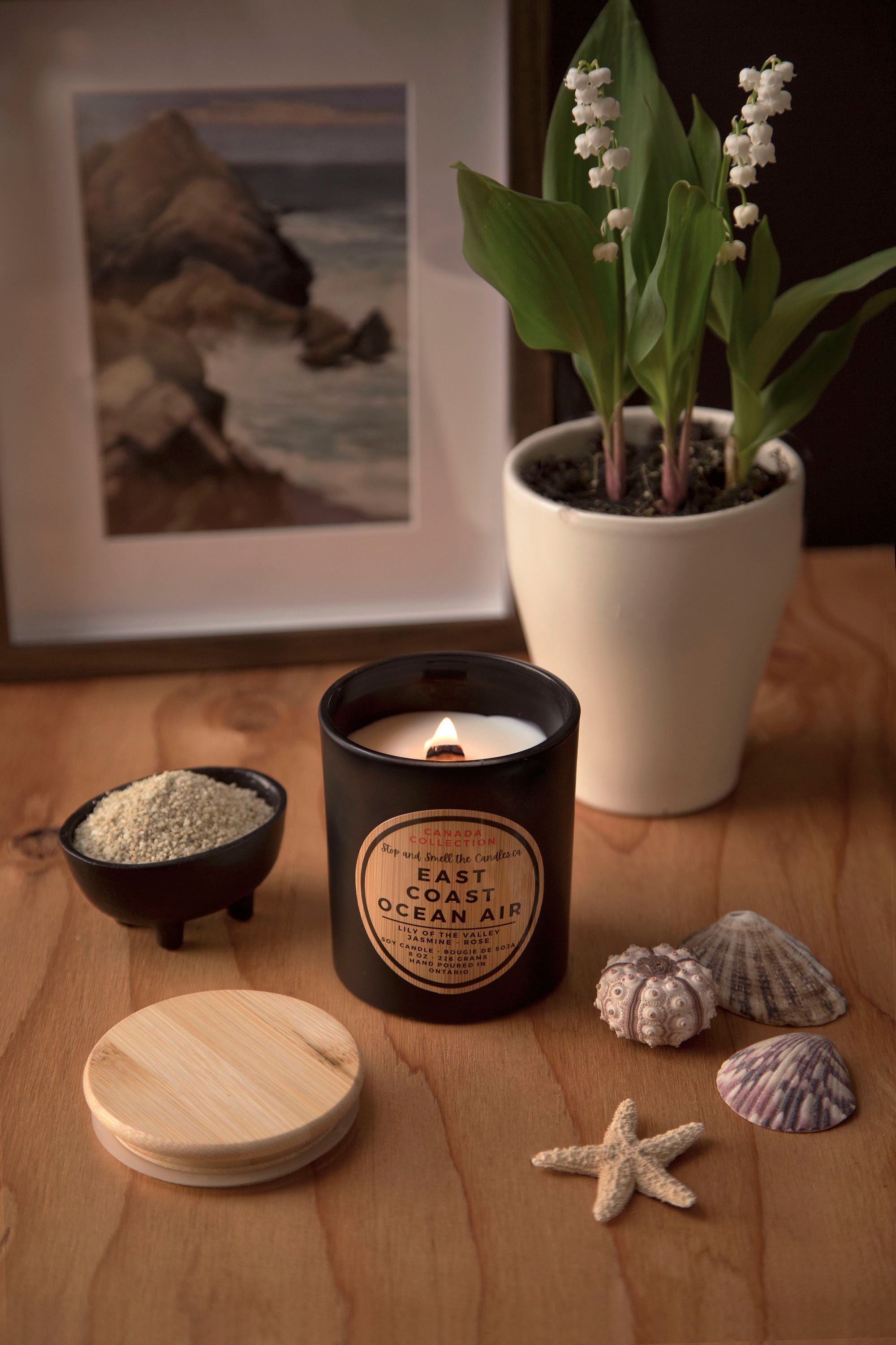 Candle labeled 'Ocean Air' on a wooden surface with a plant, shells, and a starfish.