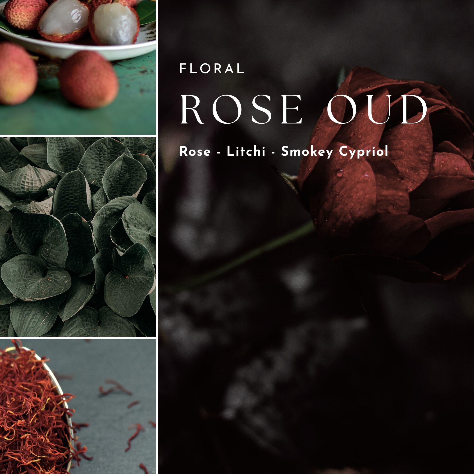 Collage of rose, litchi, and saffron with 'Floral Rose Oud' text on a dark background.