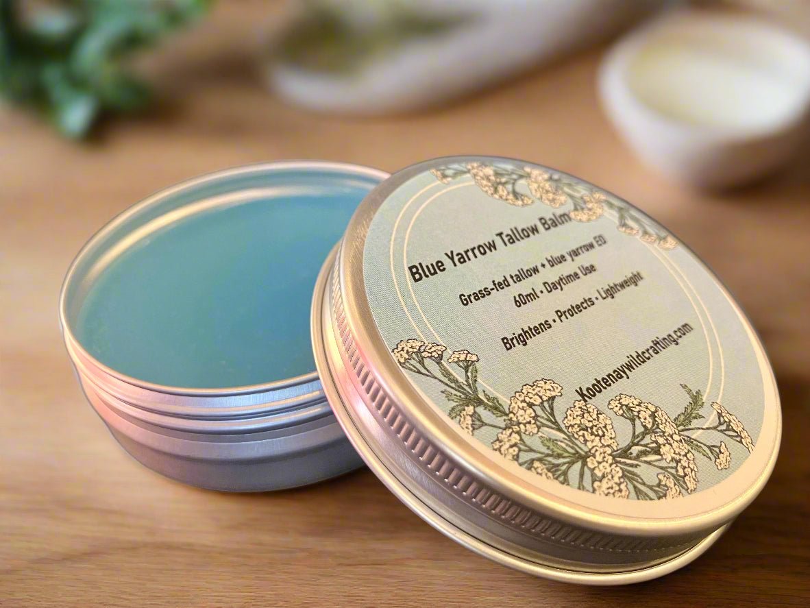 Open tin of Blue Yarrow Tallow Balm with label on wooden surface
