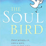 Hachette Books The Soul Bird by Michal Snunit 10th Anniversary Edition